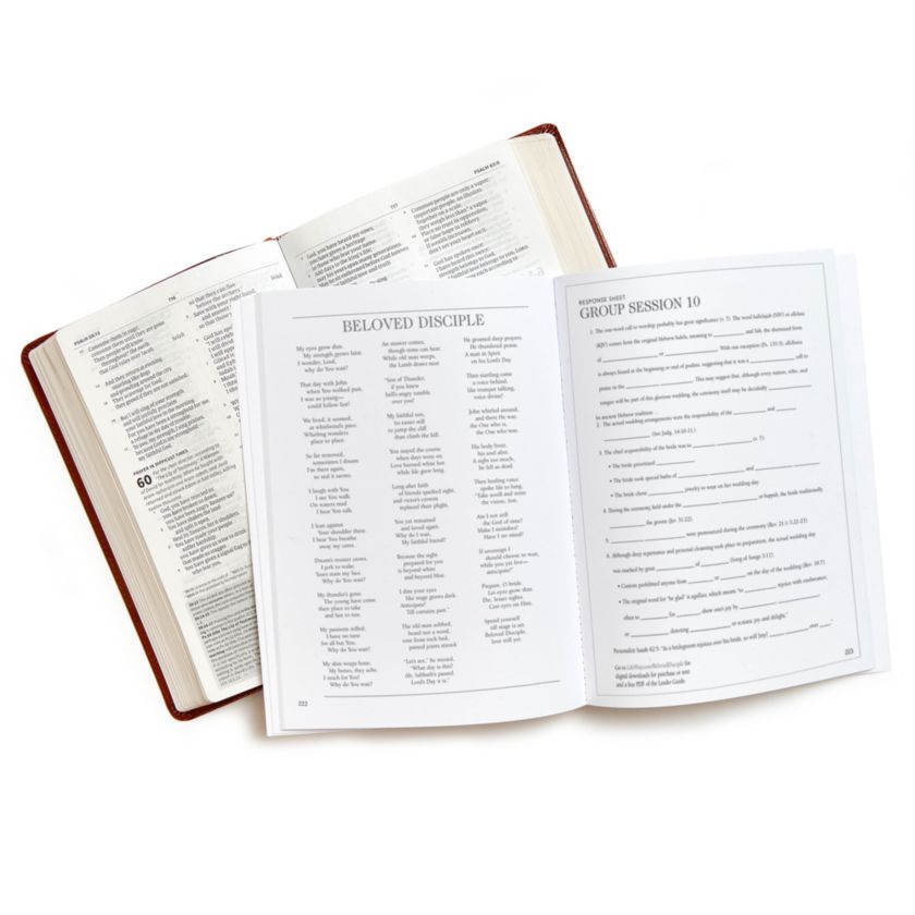 Beloved Disciple - Bible Study (New Look): The Life and Ministry of John - Michigan Southern Charm