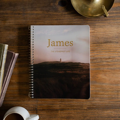 James: the Steadfast Life - Michigan Southern Charm