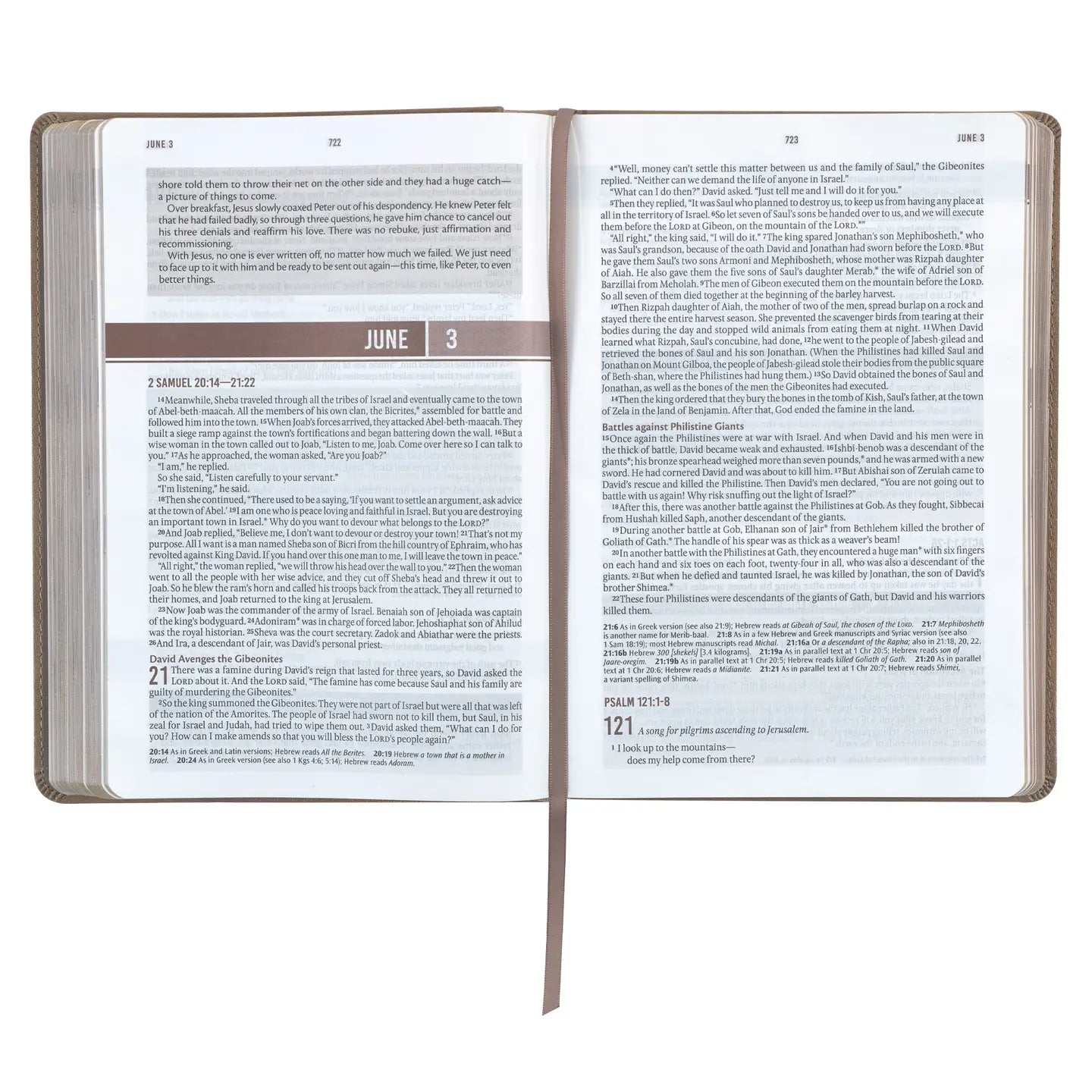 Devotional Bible Nlt For Men Faux Leather, Tan - Michigan Southern Charm