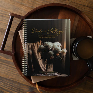 Peaks and Valleys: Learning To Look To Christ in Life's Highs and Lows | A Study On the Life of David - Michigan Southern Charm
