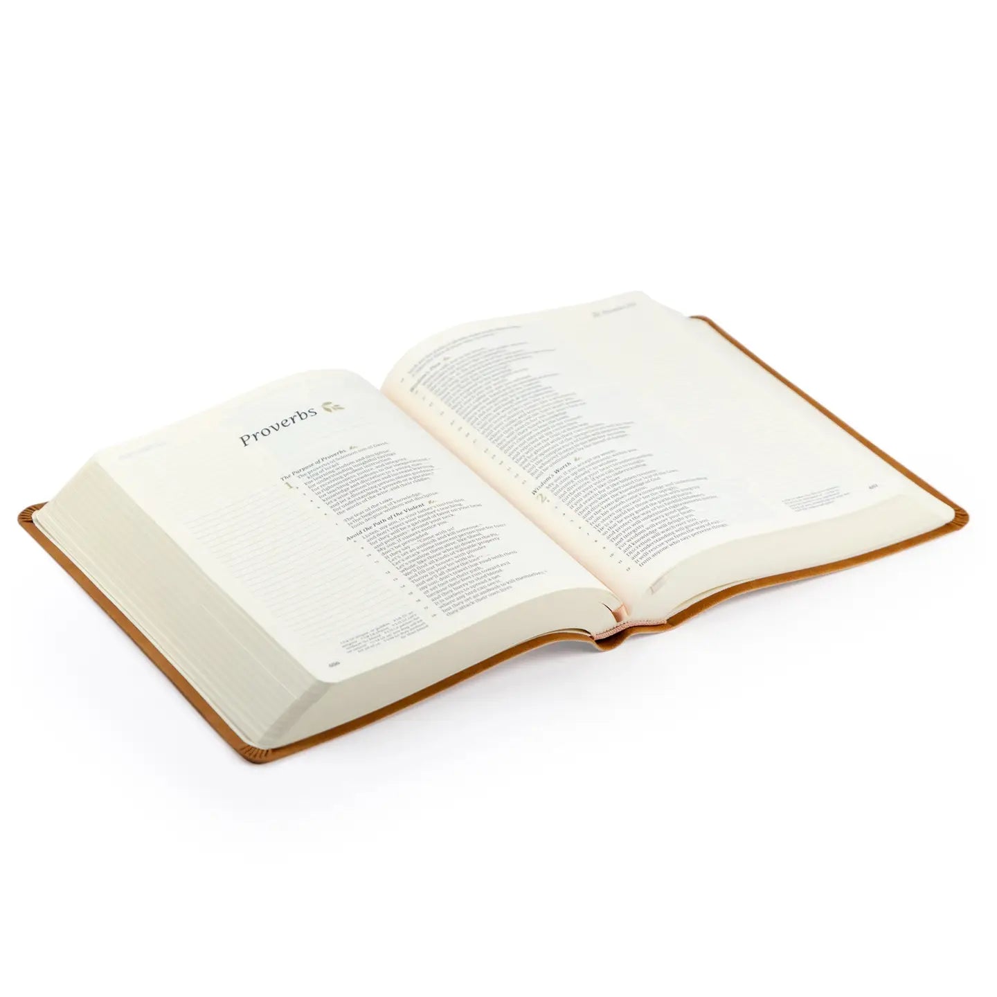 Csb Notetaking Bible Amelia Theme - Michigan Southern Charm