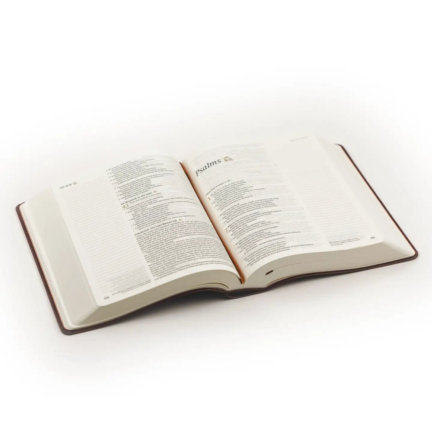 Nlt Notetaking Bible : Santa Elena Theme - Michigan Southern Charm