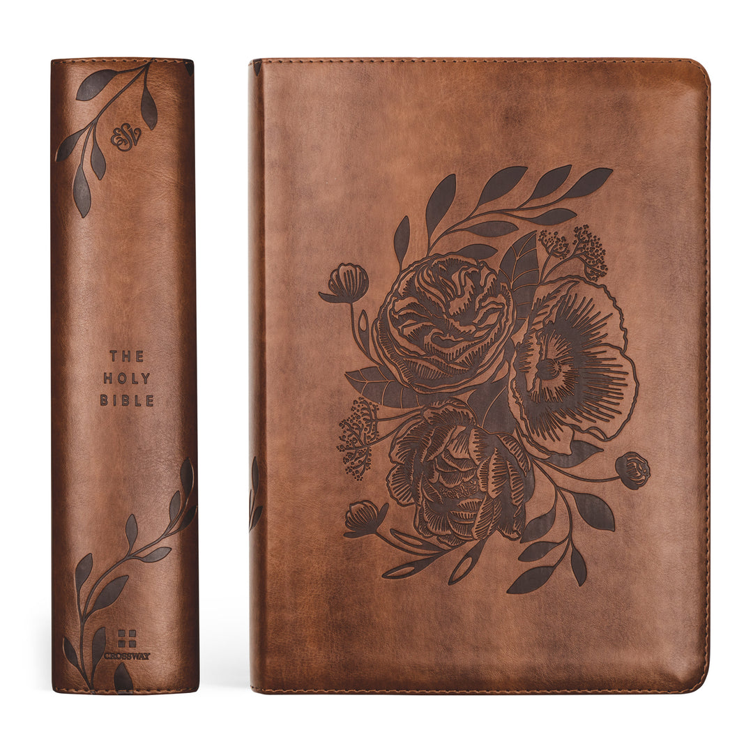 Aurora ESV Study Bible - Michigan Southern Charm