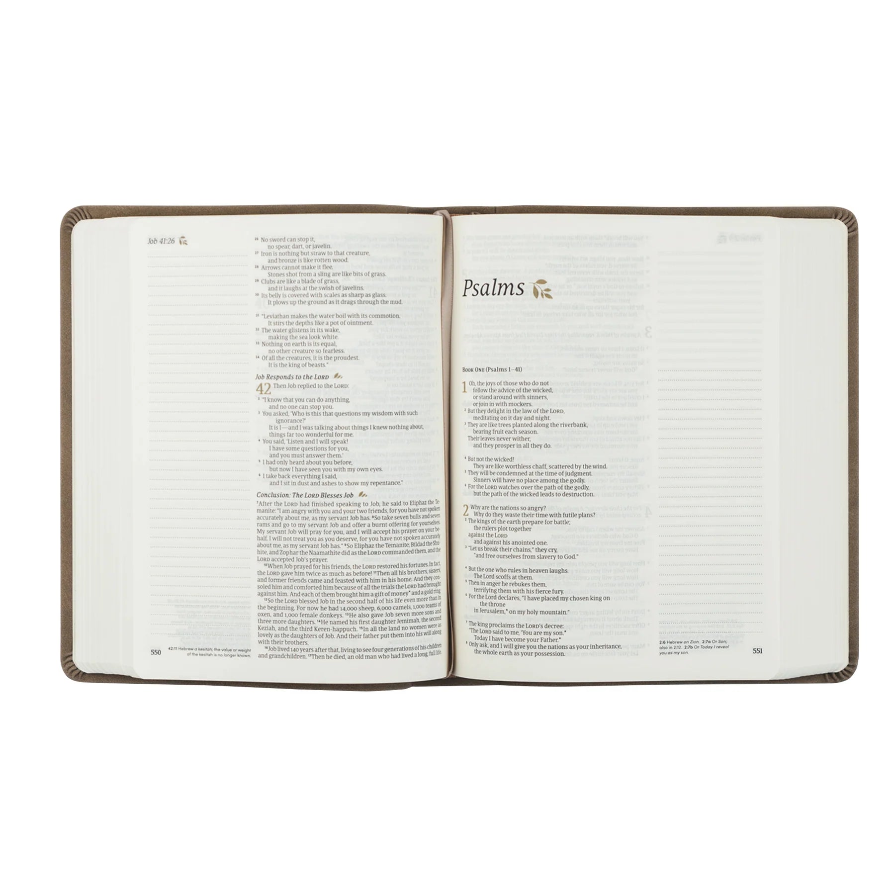 NLT Notetaking Bible : Marlo Theme - Michigan Southern Charm