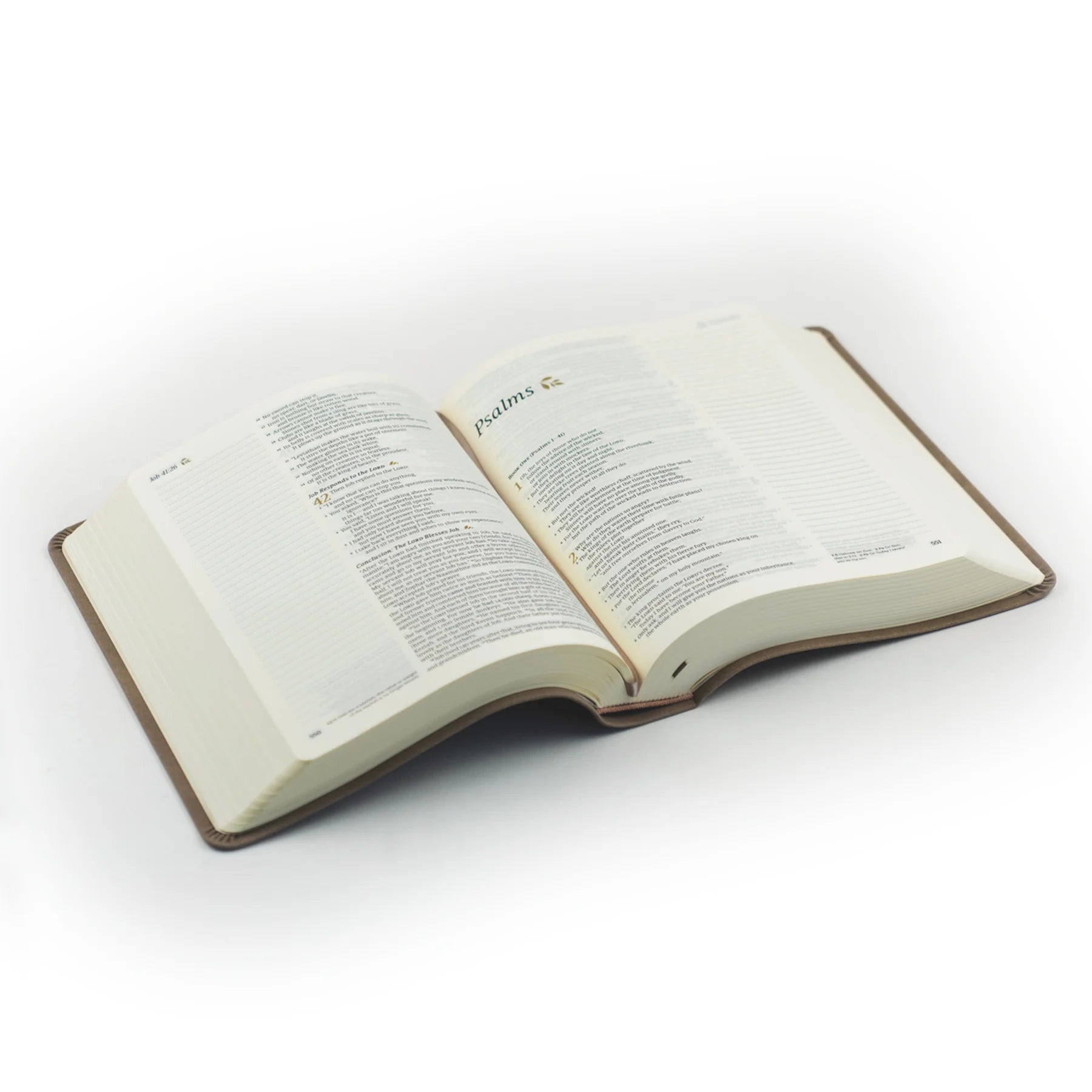 NLT Notetaking Bible : Marlo Theme - Michigan Southern Charm