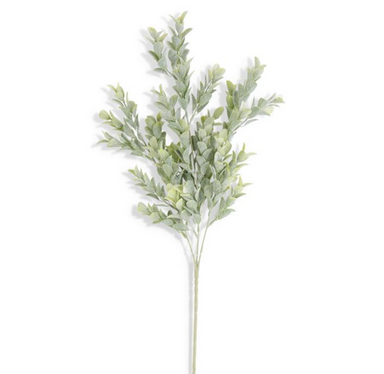 Powdered Boxwood Stem - Michigan Southern Charm