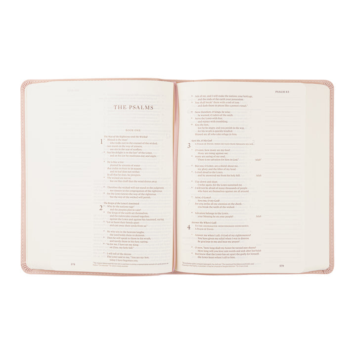 Shiloh ESV Journaling Bible - Michigan Southern Charm