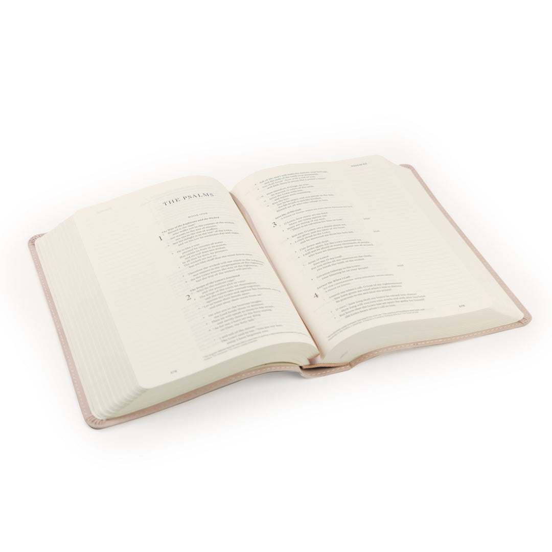 Shiloh ESV Journaling Bible - Michigan Southern Charm