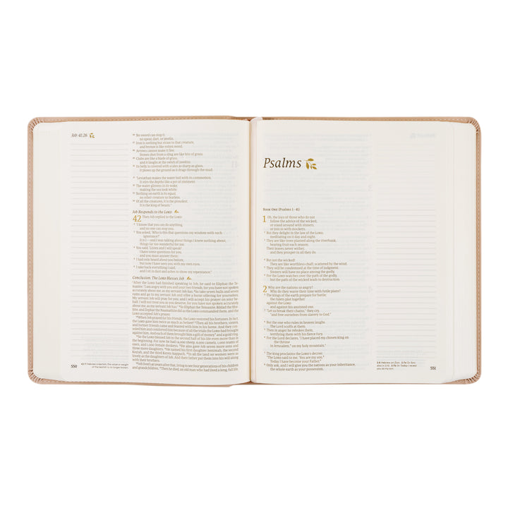 Shiloh NLT Note-taking Bible - Michigan Southern Charm