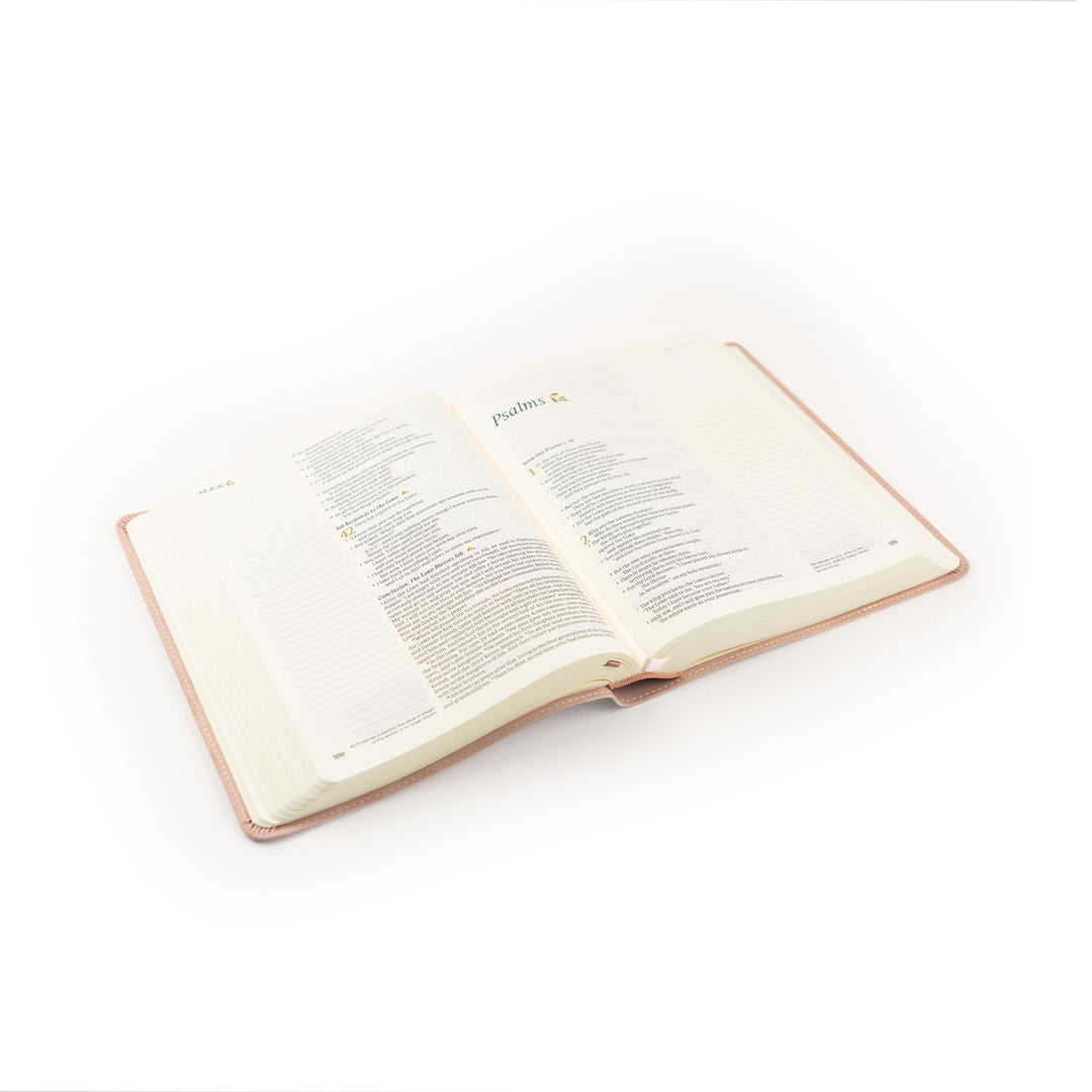 Shiloh NLT Note-taking Bible - Michigan Southern Charm