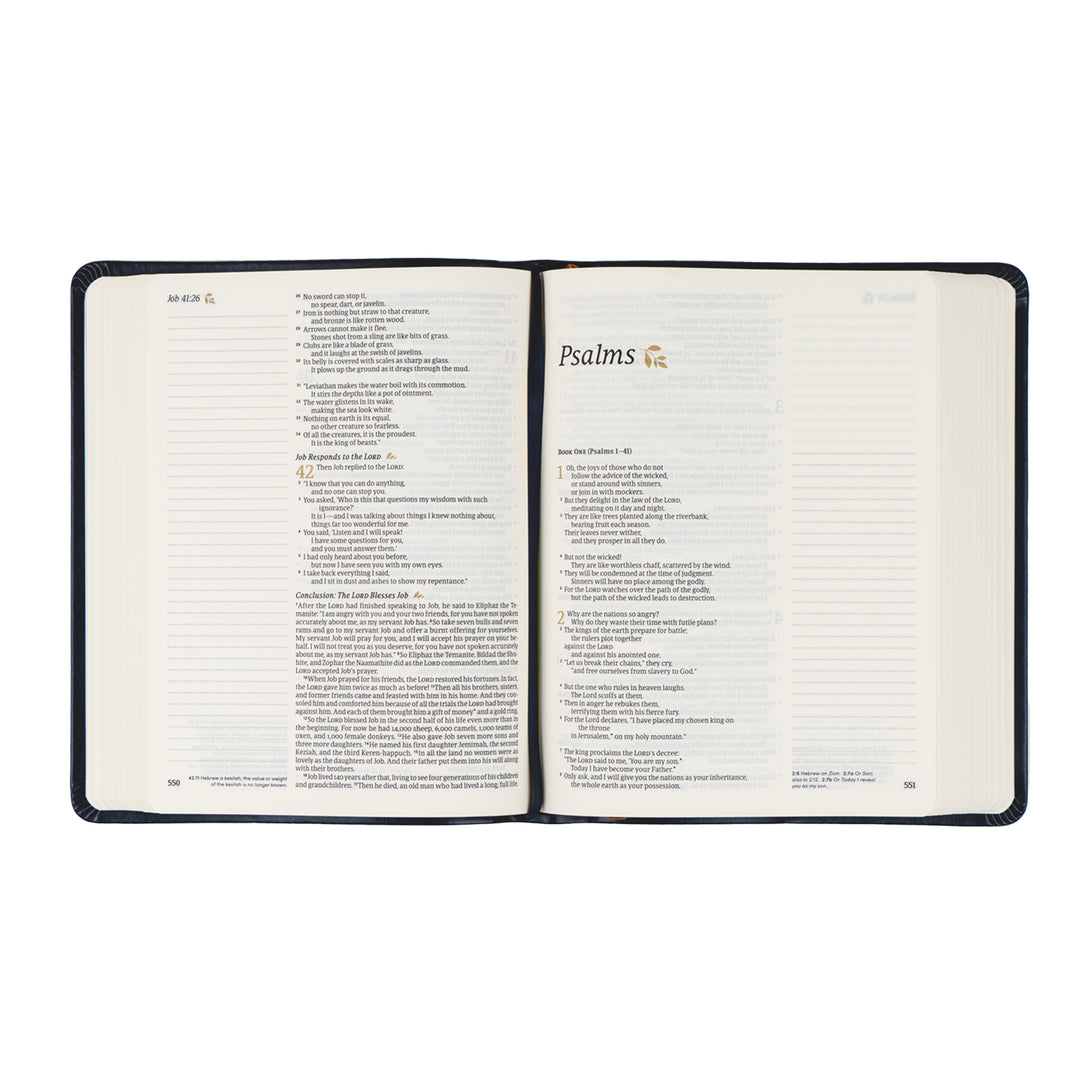 Versailles NLT Note taking Bible - Michigan Southern Charm
