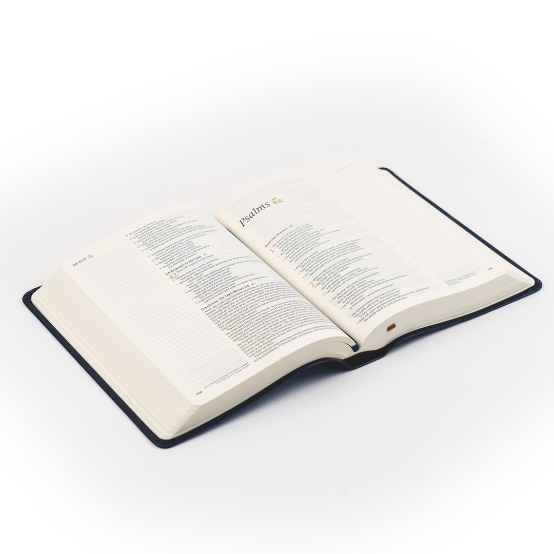 Versailles NLT Note taking Bible - Michigan Southern Charm