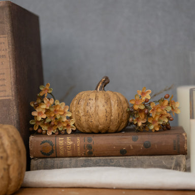 2.75" BEIGE SHORT PUMPKIN - Michigan Southern Charm