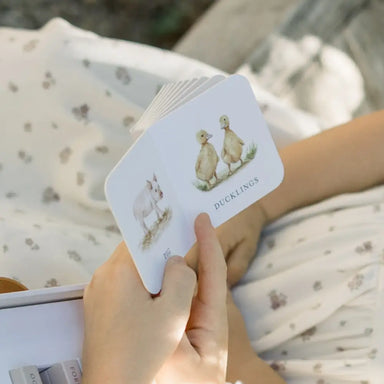 Our Very Little Library Board Book Set (10 Mini Board Books) - Michigan Southern Charm