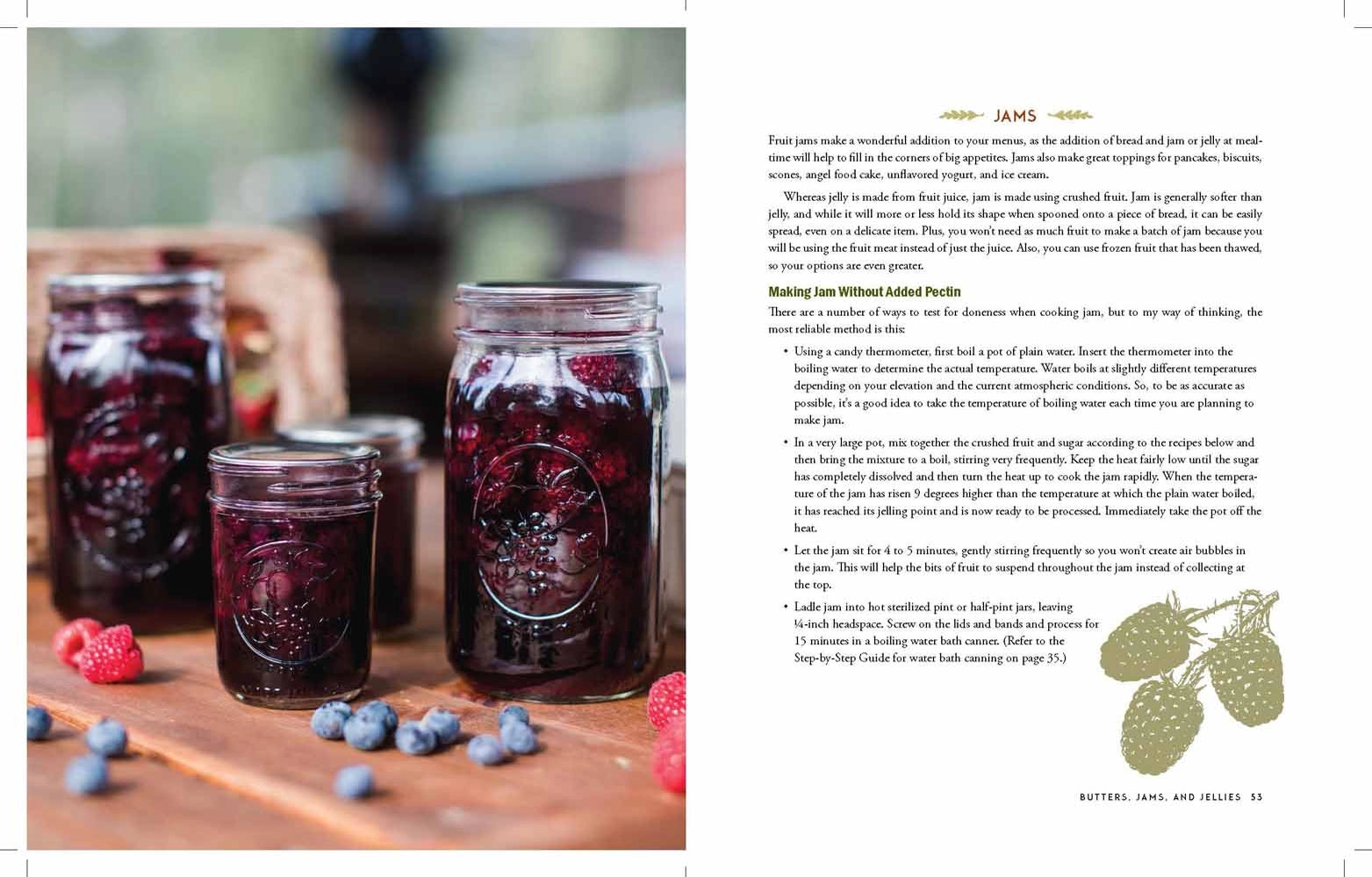The Homestead Canning Cookbook - Michigan Southern Charm