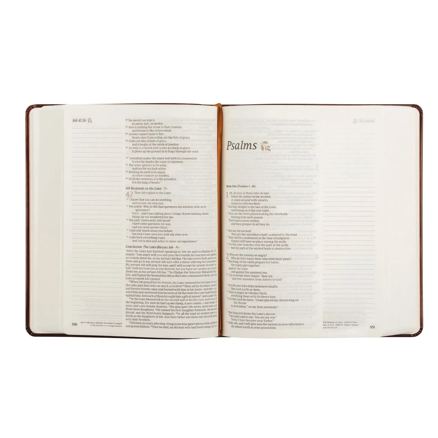 Nlt Notetaking Bible : Santa Elena Theme - Michigan Southern Charm