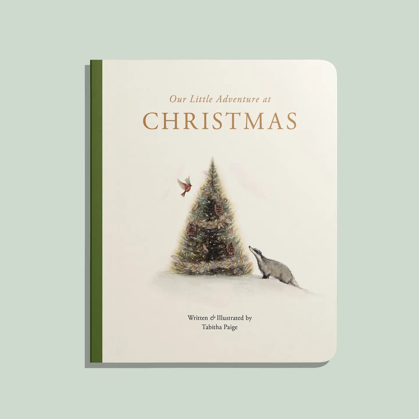 Our Little Adventure At Christmas (Baby's First Christmas) - Michigan Southern Charm