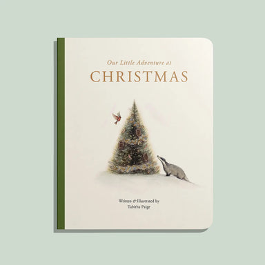 Our Little Adventure At Christmas (Baby's First Christmas) - Michigan Southern Charm