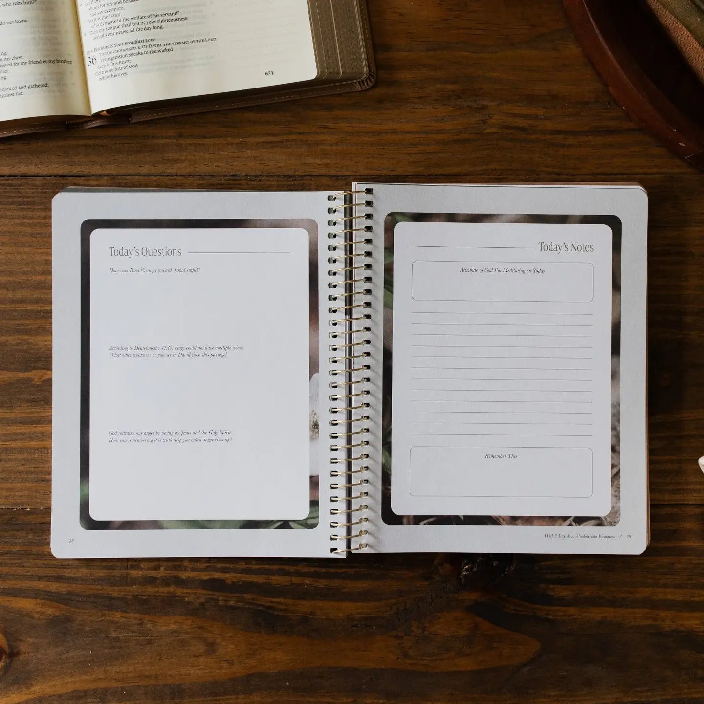 Peaks and Valleys: Learning To Look To Christ in Life's Highs and Lows | A Study On the Life of David - Michigan Southern Charm