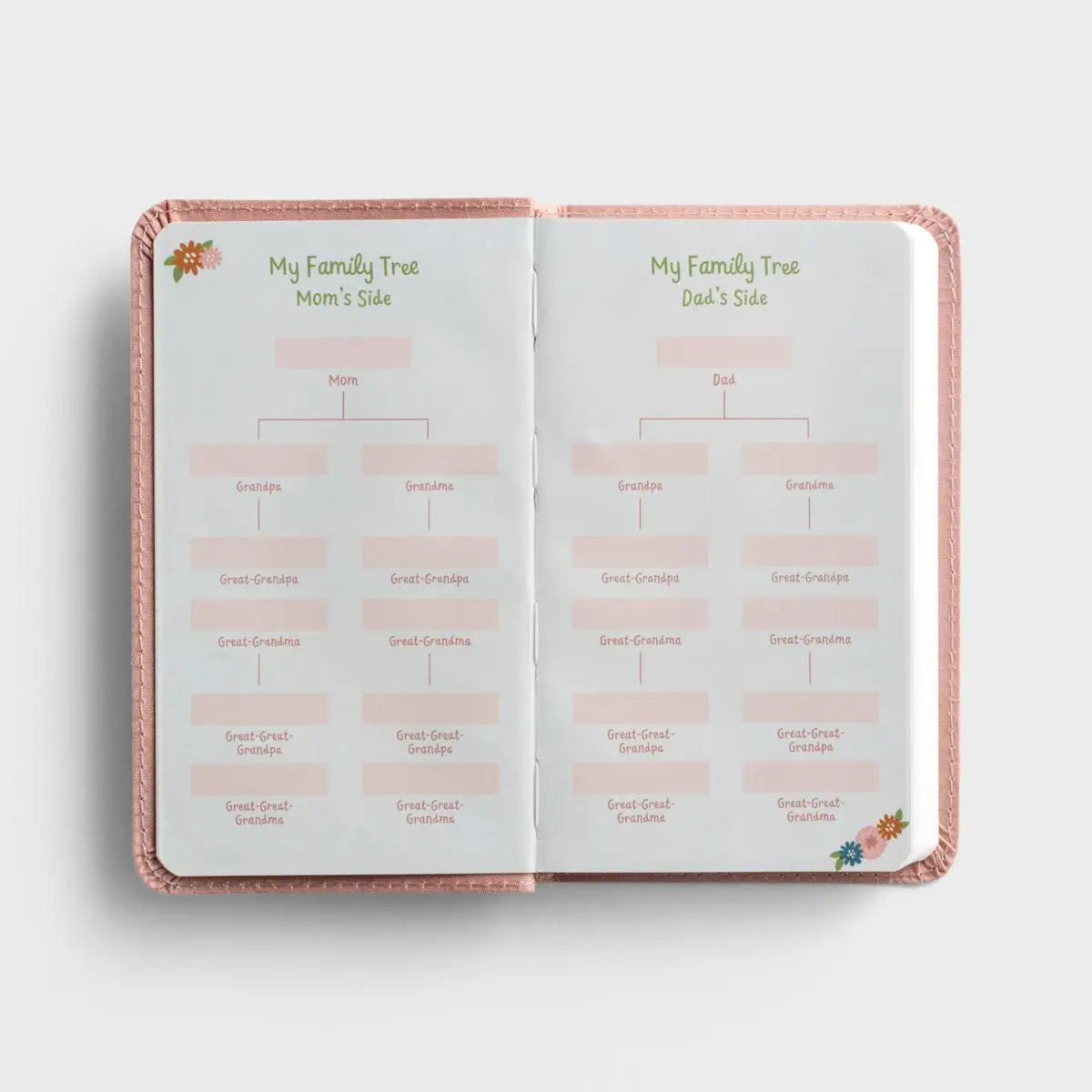 Wonderfully Made: Baby Girl's First Bible - Michigan Southern Charm