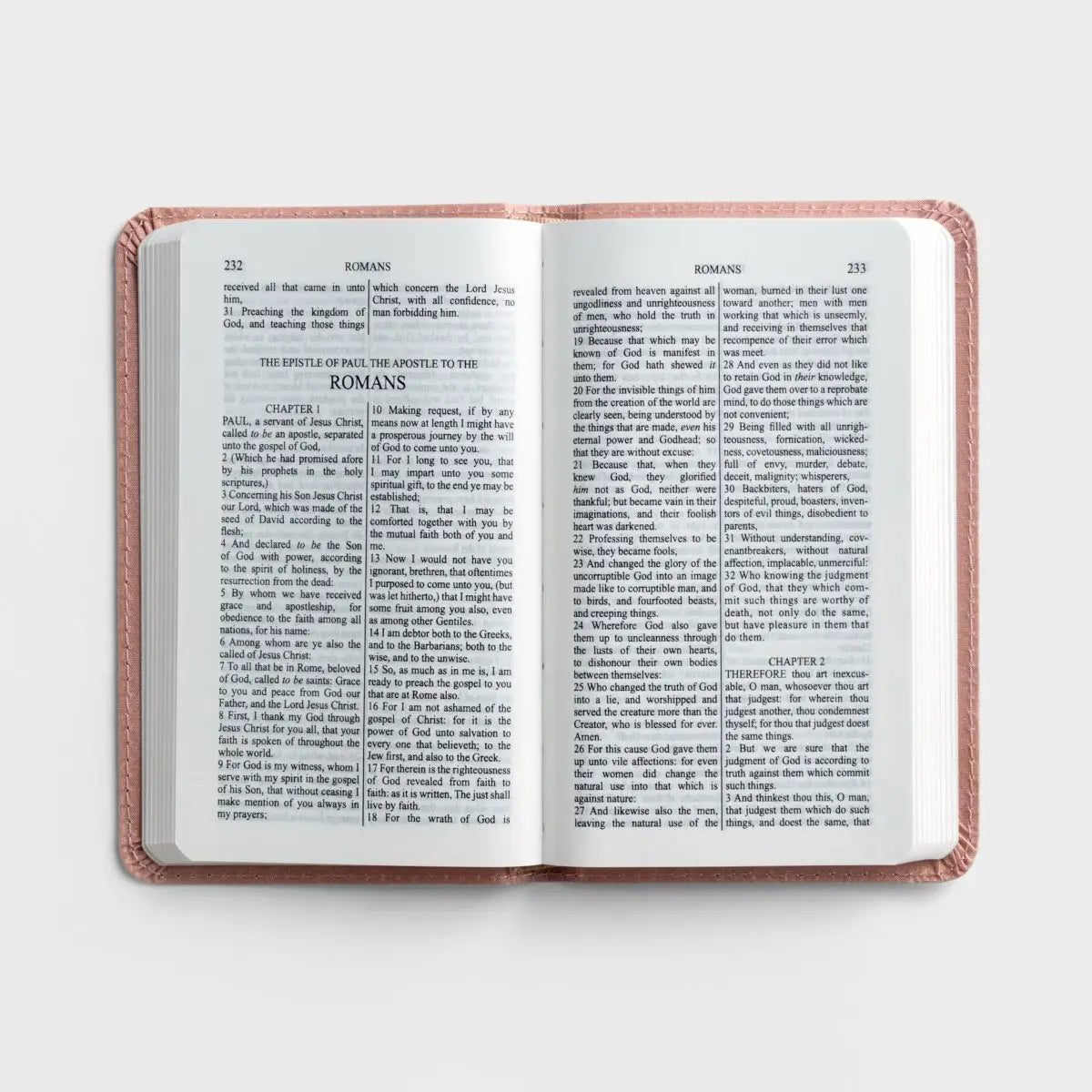 Wonderfully Made: Baby Girl's First Bible - Michigan Southern Charm