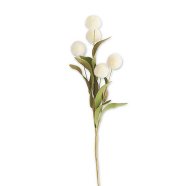 13 INCH CREAM 5 BALL POMPOM PICK W/GREEN EVA LEAVES - Michigan Southern Charm