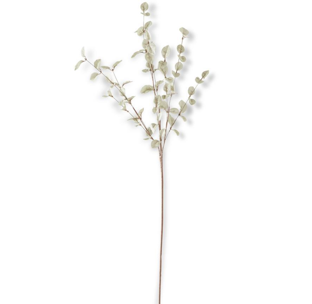 34 Inch Light Green Eucalyptus Stem - Michigan Southern Charm
