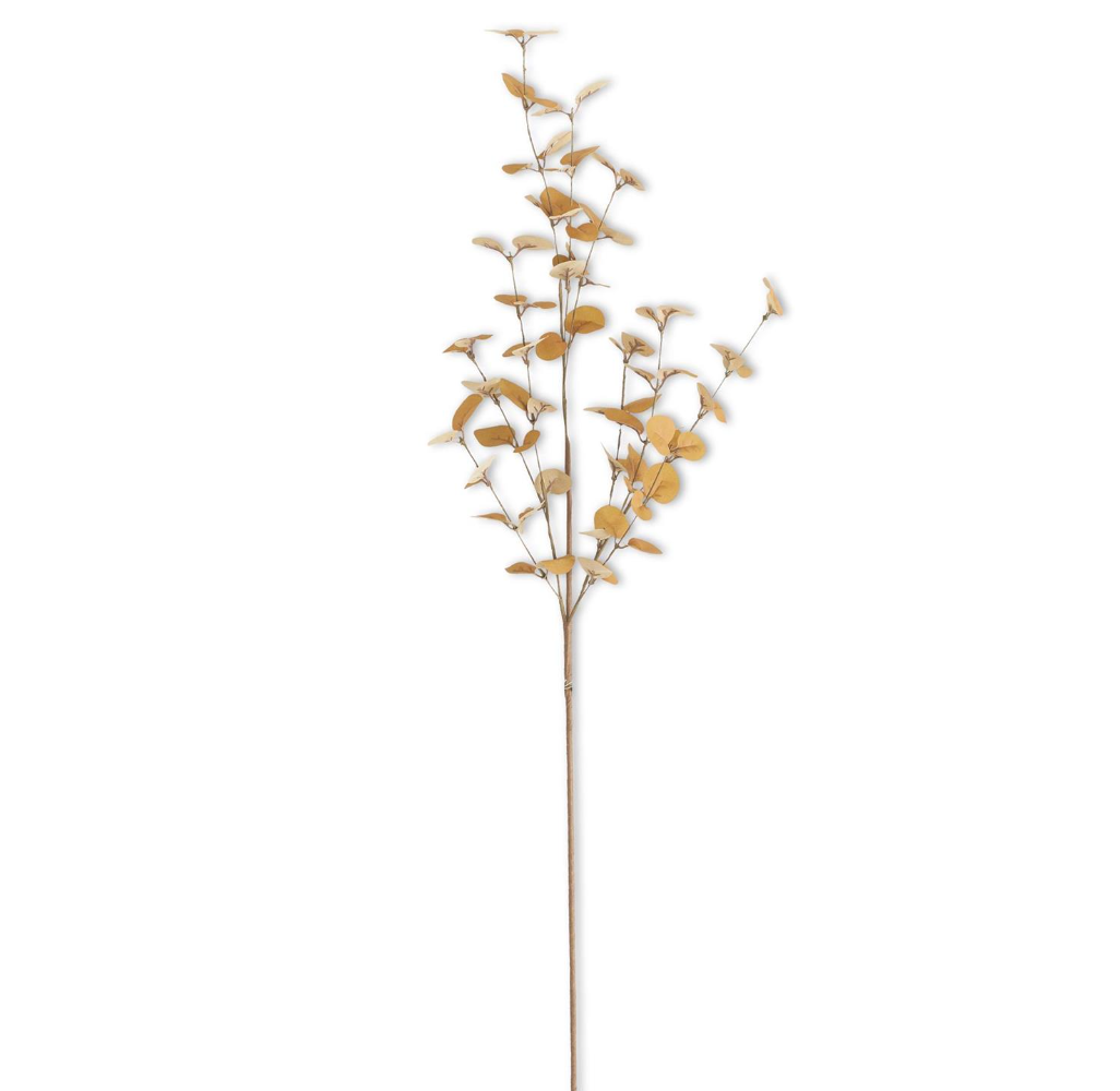 34 Inch 2 Tone Dark Yellow Eucalyptus Stem - Michigan Southern Charm