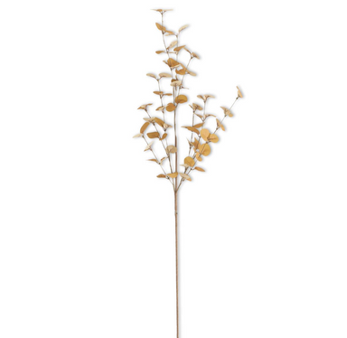 34 Inch 2 Tone Dark Yellow Eucalyptus Stem - Michigan Southern Charm
