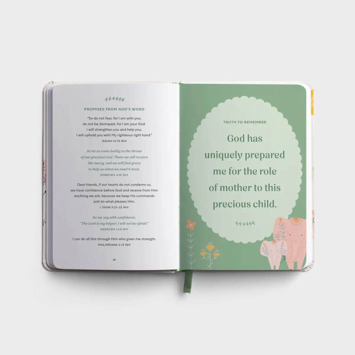 Prayers & Affirmations for You & Your Baby - Devotional - Michigan Southern Charm