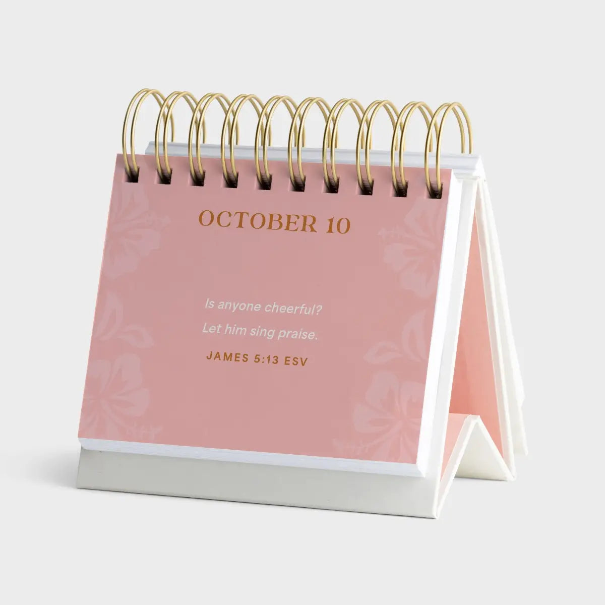 Hot Rollers & The Holy Spirit - Perpetual Calendar - Michigan Southern Charm