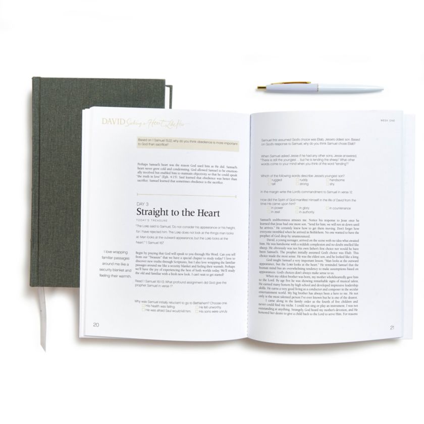 David - Bible Study Book (Updated Edition): Seeking a Heart Like His