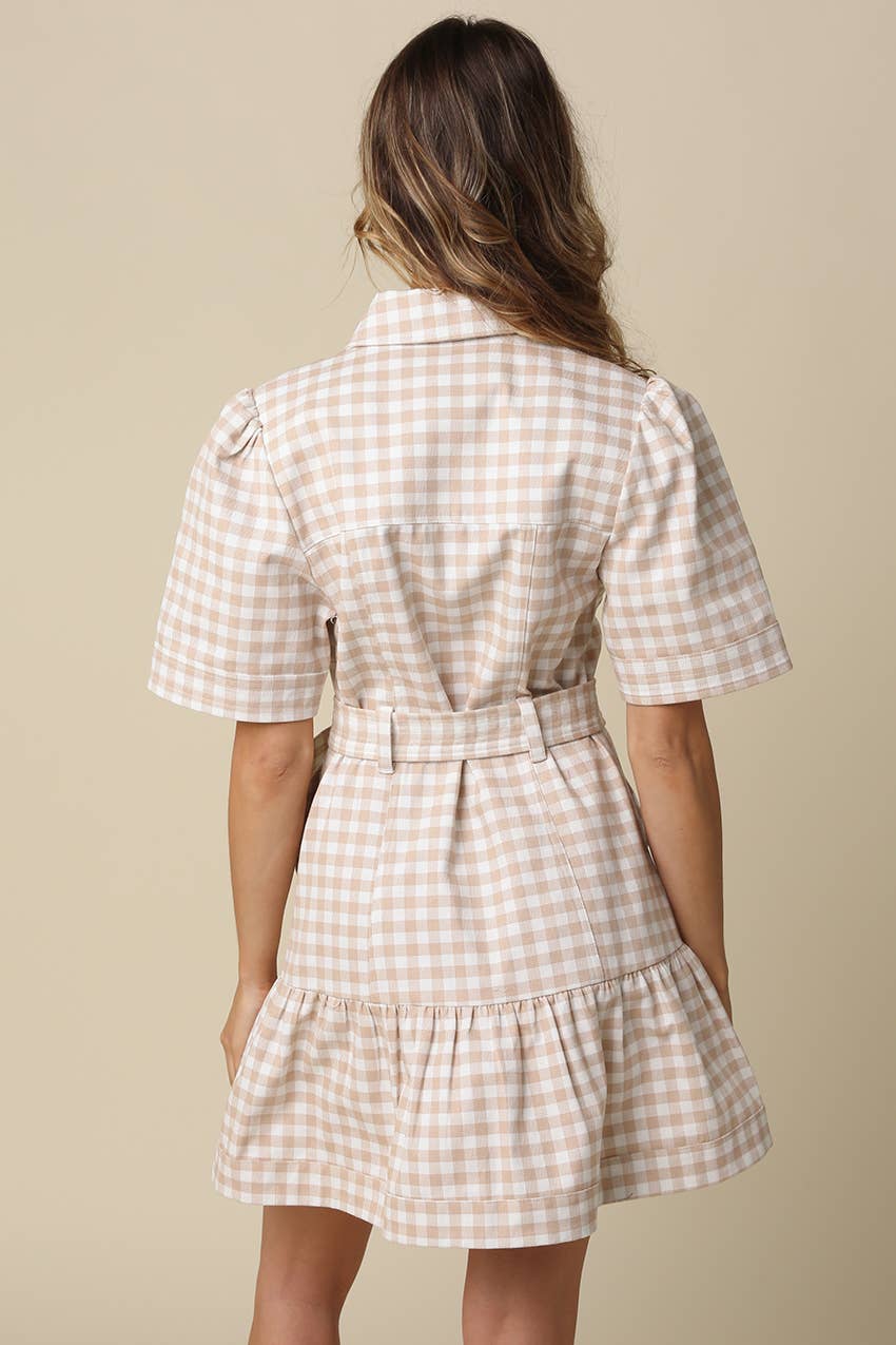 Eliza Gingham Belted Shirt Dress