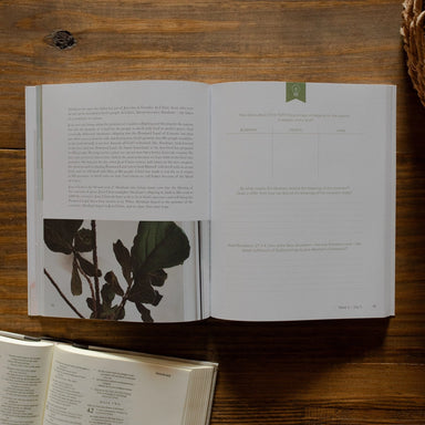 Faithful Bible Study - Michigan Southern Charm