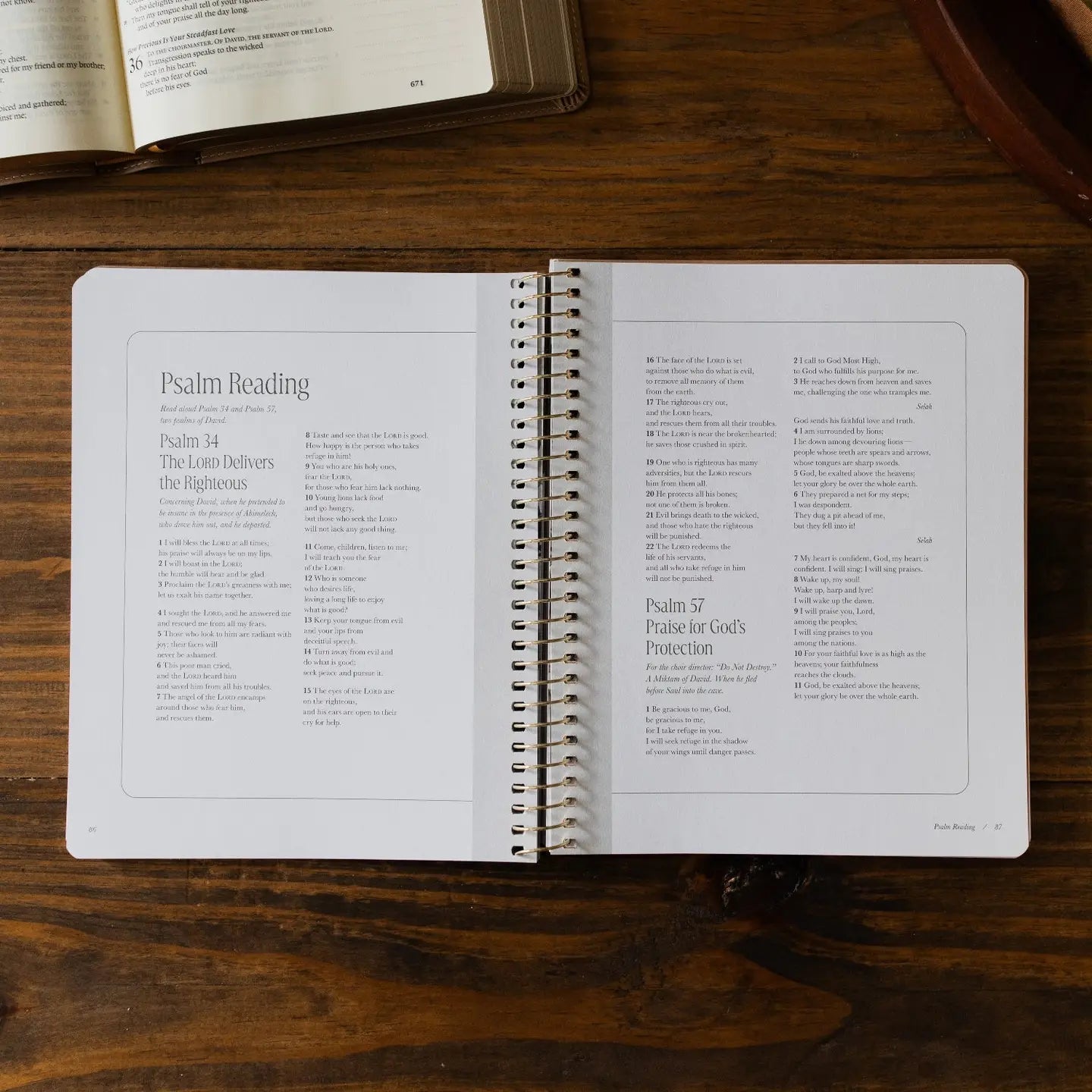 Peaks and Valleys: Learning To Look To Christ in Life's Highs and Lows | A Study On the Life of David