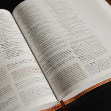 Esv Journaling Study Bible | Lily of the Valley - Michigan Southern Charm