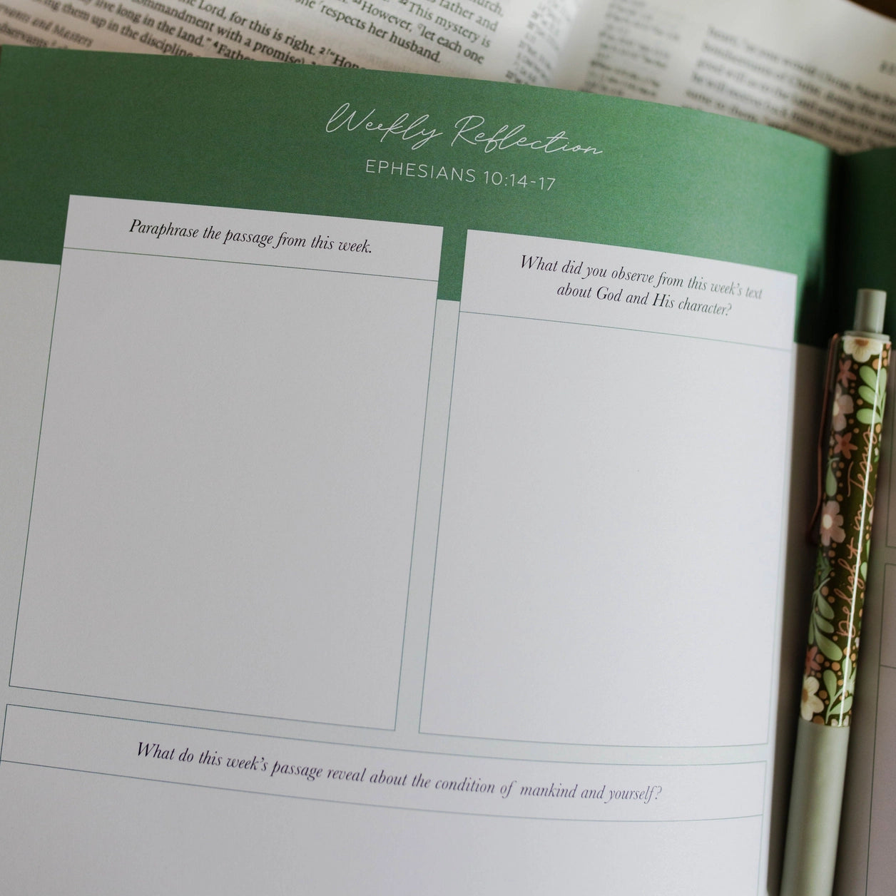 Stand Firm | Armor of God Study - Michigan Southern Charm