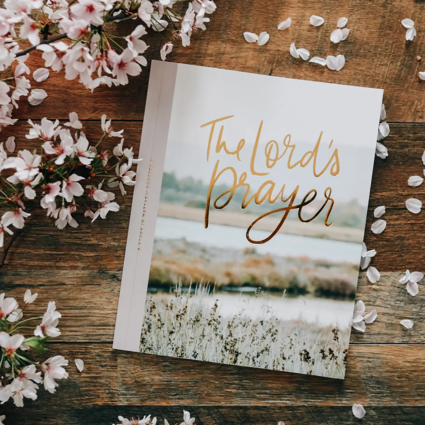 The Lord's Prayer Bible Study - Michigan Southern Charm