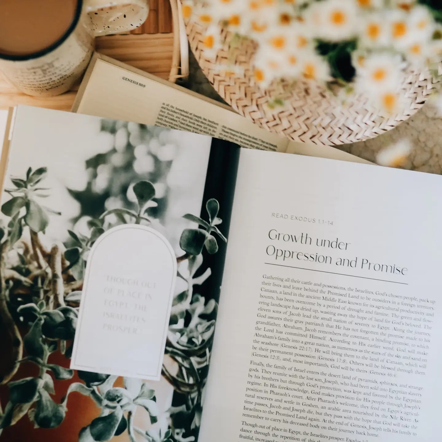 Journey To Freedom Bible Study - Michigan Southern Charm