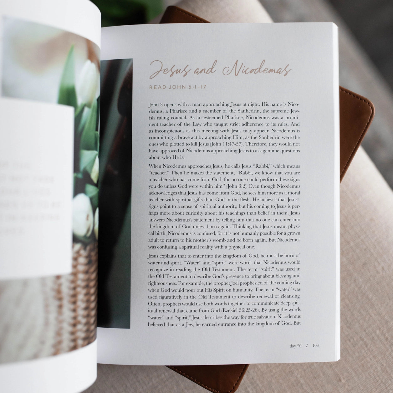 40 Days with Jesus Bible Study - Michigan Southern Charm