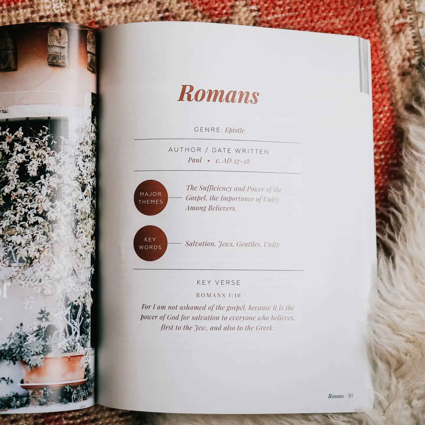 The Story of Redemption | Volume 4 Bible Study - Michigan Southern Charm