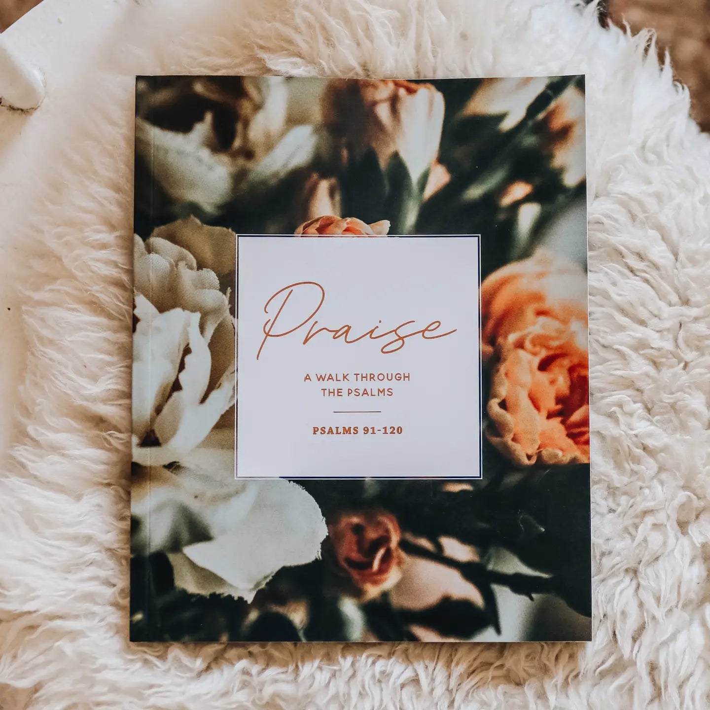 Praise Bible Study | Psalms 91-120 - Michigan Southern Charm