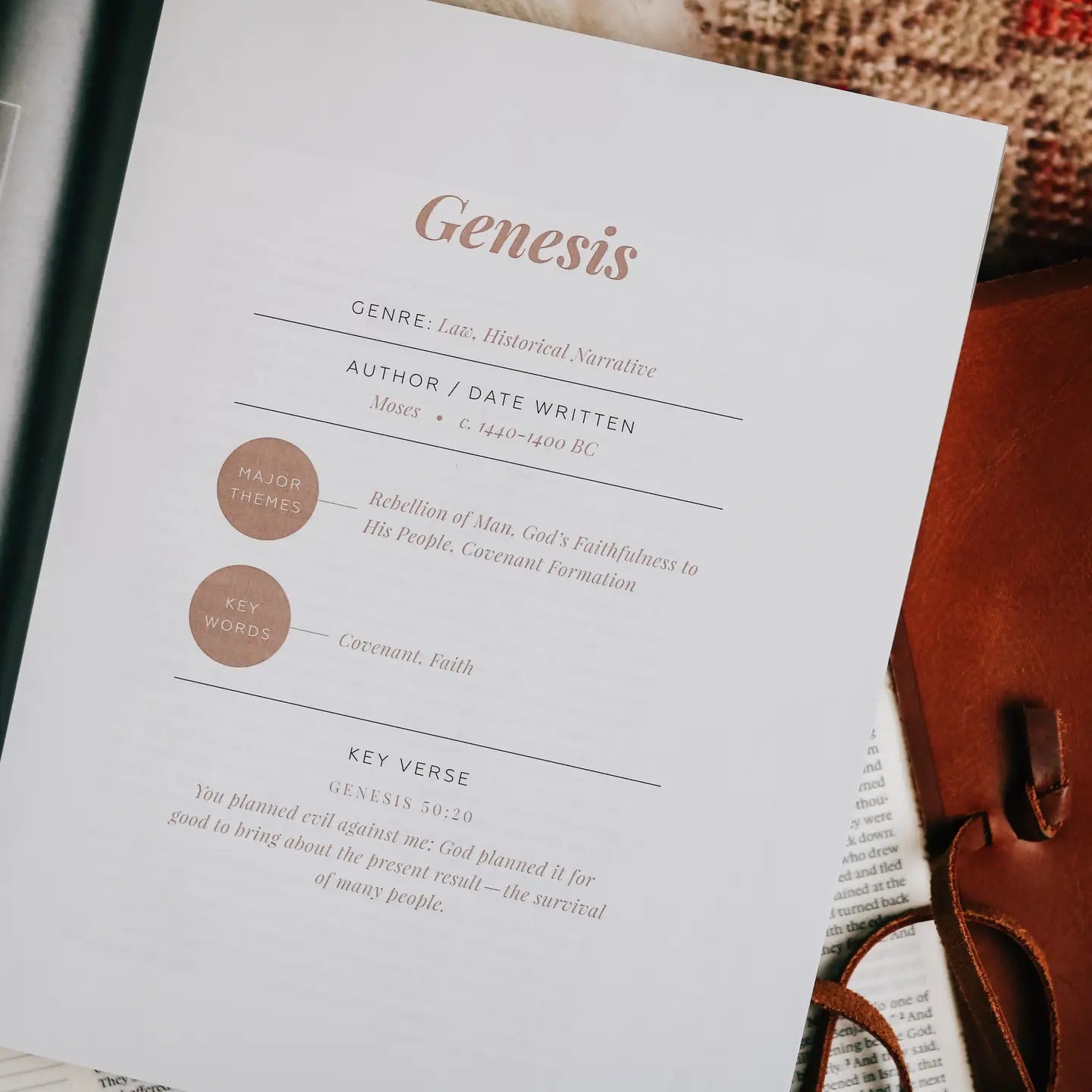 The Story of Redemption | Volume 1 Bible Study - Michigan Southern Charm