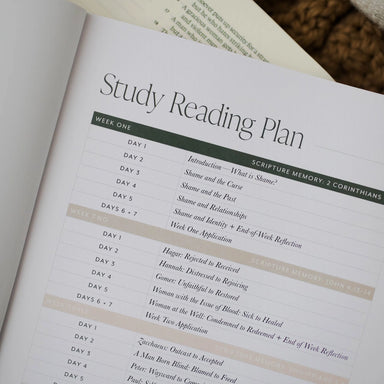Free from Shame Bible Study - Michigan Southern Charm