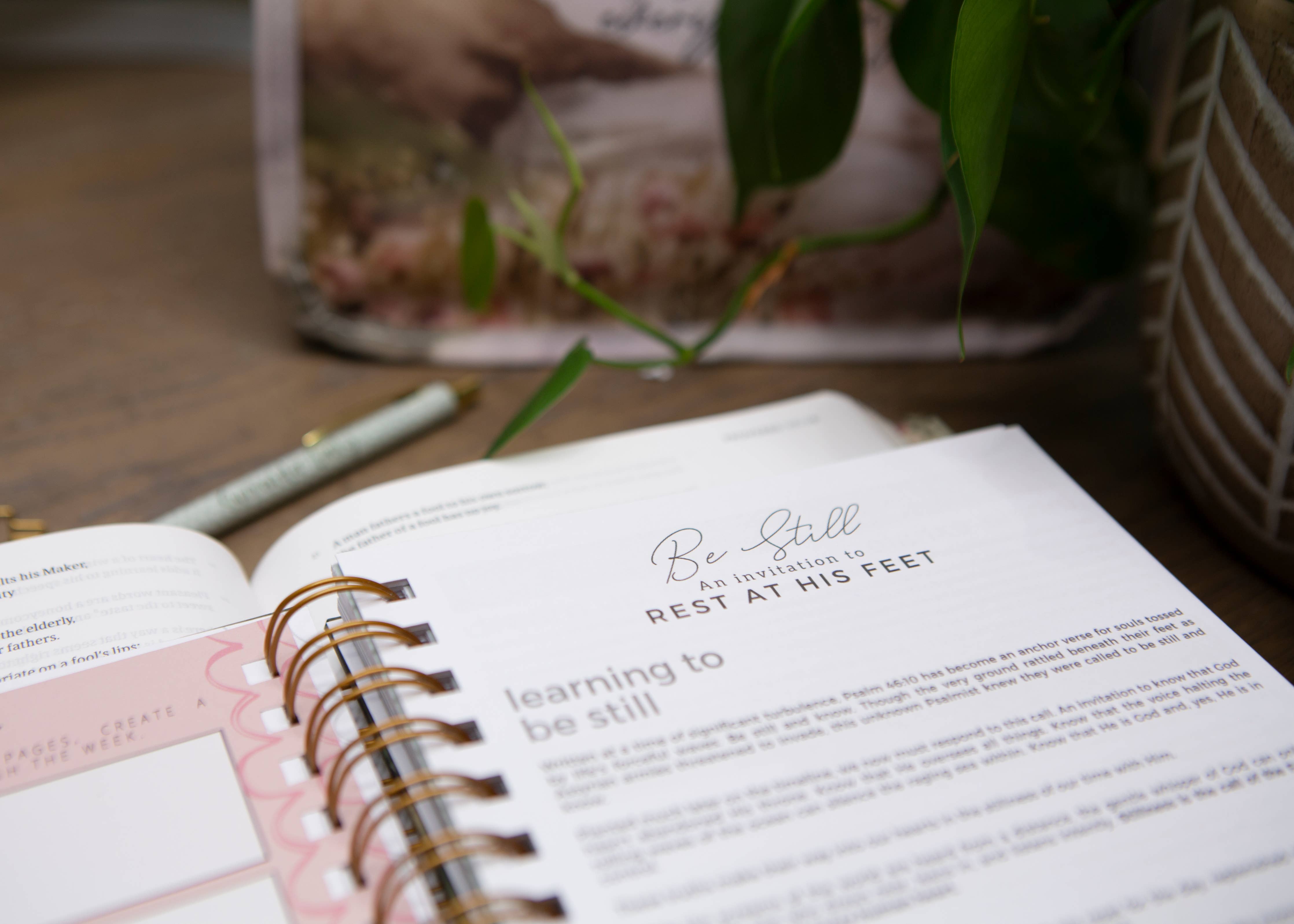 New Mercies Prayer Journal for Women