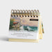 Thomas Kinkade - Painter of Light Daybrightner - Michigan Southern Charm