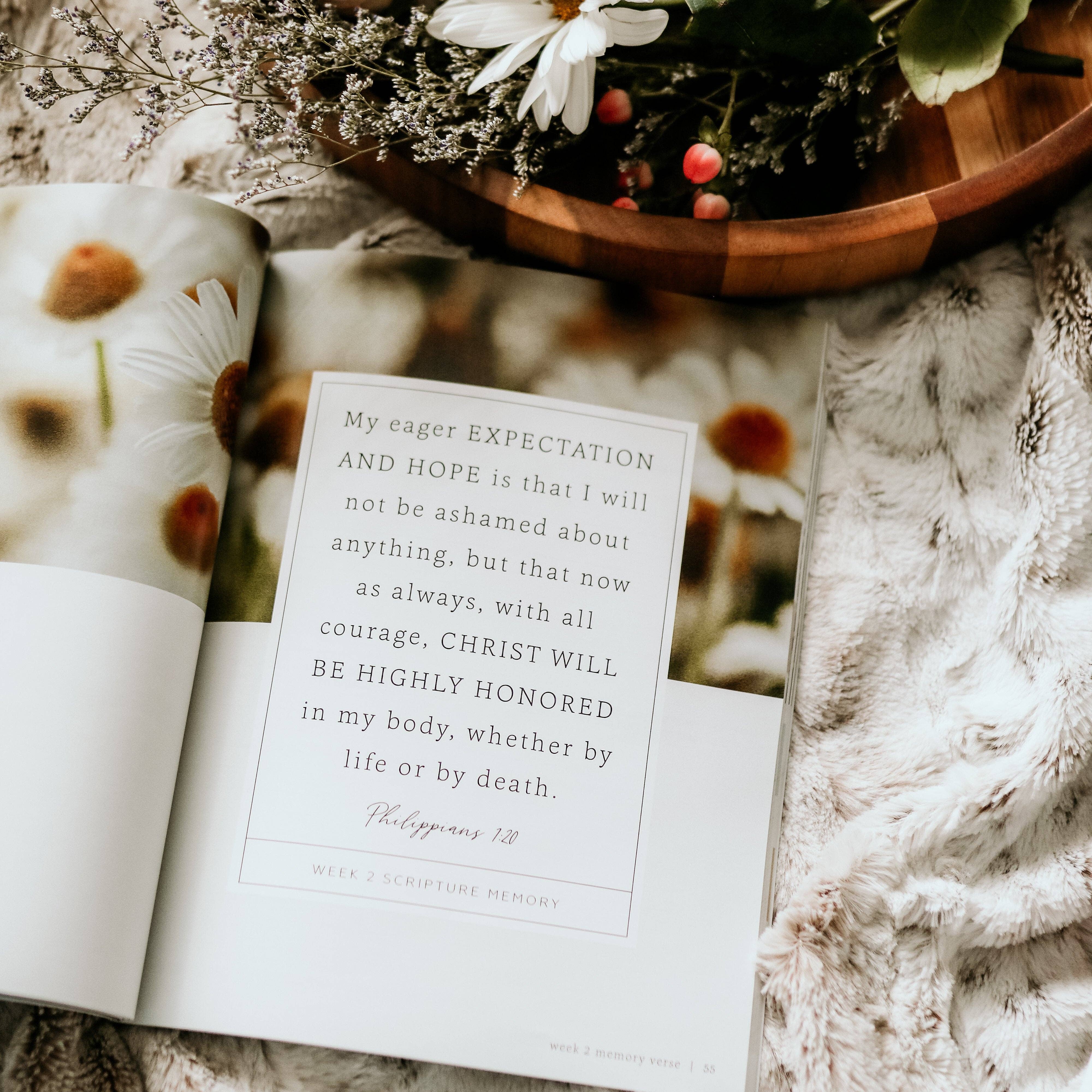 More Than Anything Bible Study