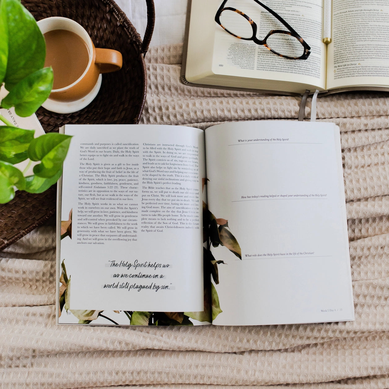 Faith Foundations Bible Study - Michigan Southern Charm