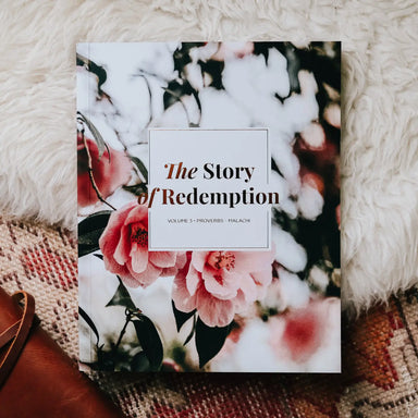 The Story of Redemption | Volume 3 Bible Study - Michigan Southern Charm