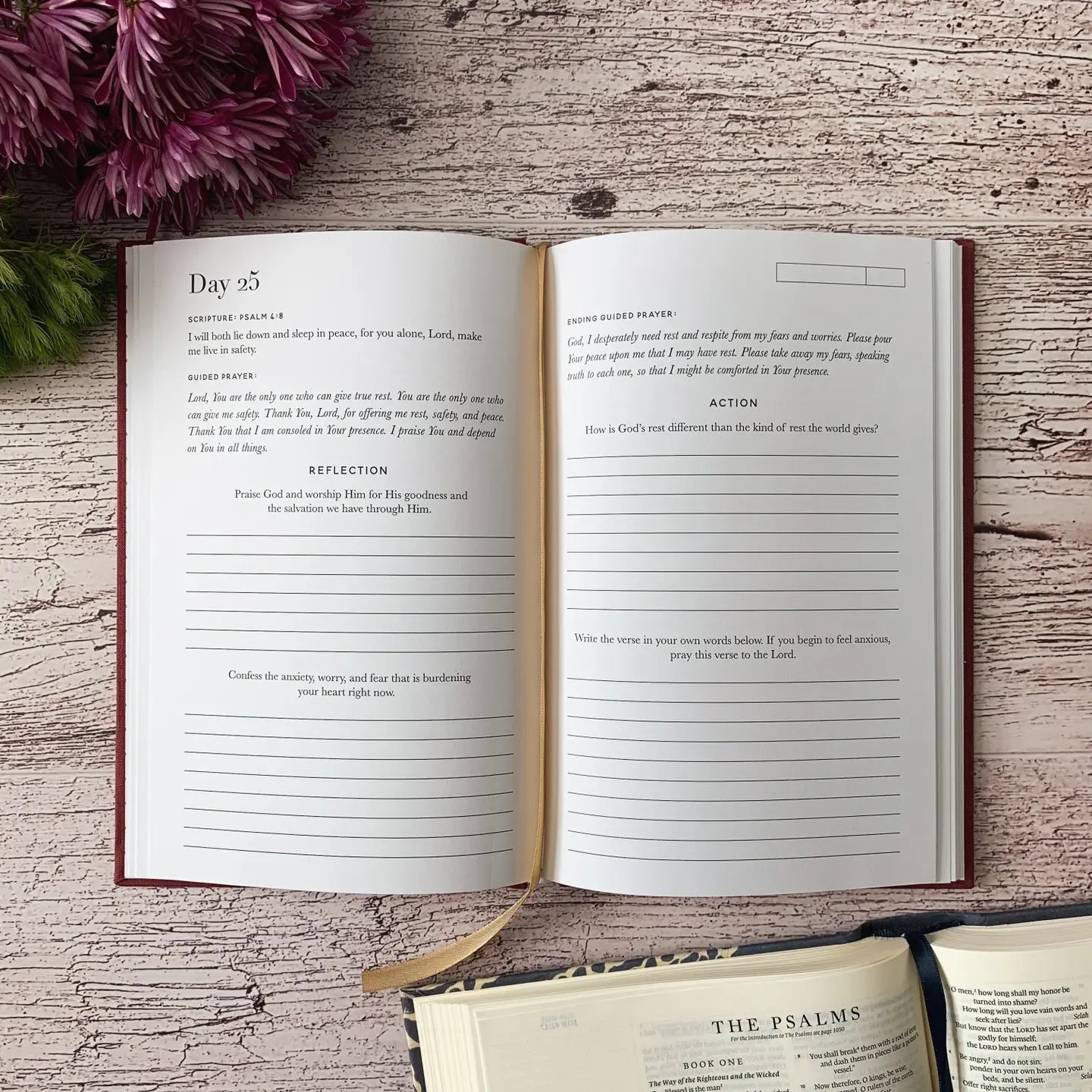 Scripture For Anxiety Journal - Michigan Southern Charm